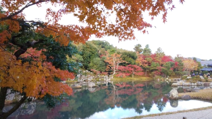 紅葉追っかけ、滋賀・京都・奈良京紅葉めぐり11月18日から11月23日