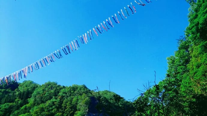 1000匹の鯉のぼりを見にゆく