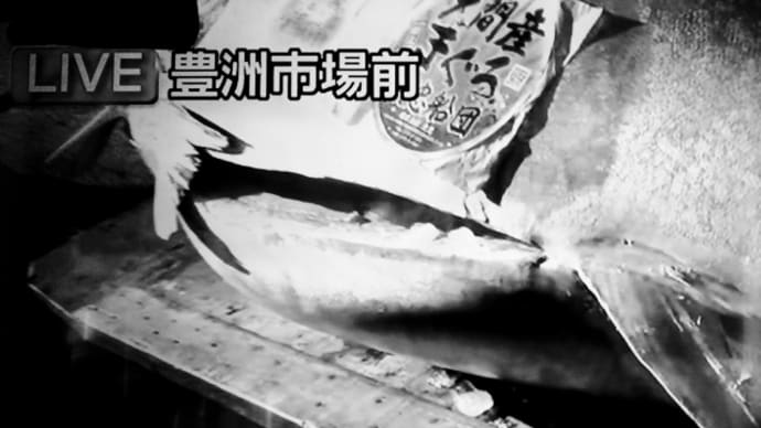 魚のうまい捌き方!