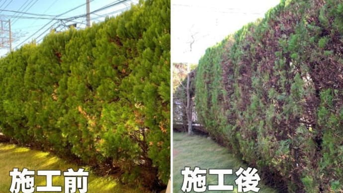 垣根の剪定作業