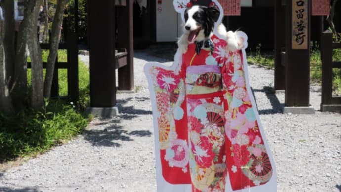 まだあげ初めし黒髪の花ある君