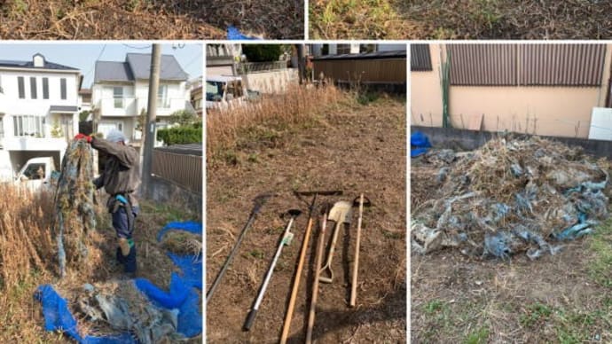 空き地に防草シートの代わりにブルーシートを張り巡らせた結果