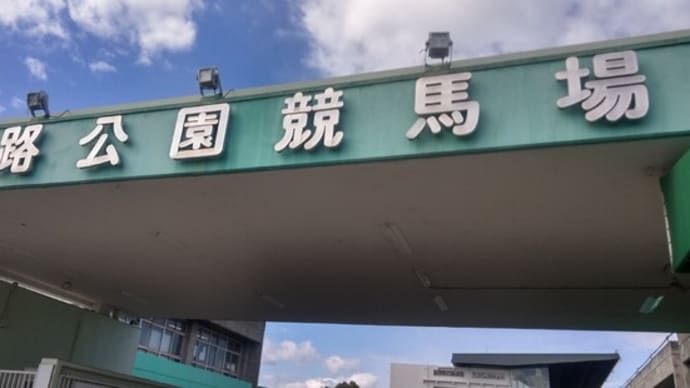 兵庫ユースカップ、行ってきました2023