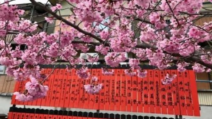車折神社の桜