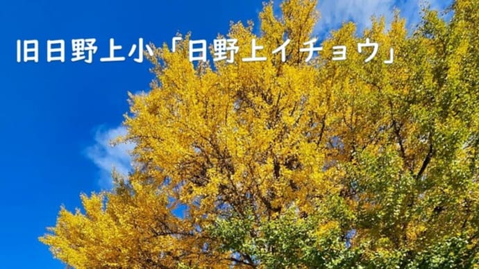 2024年回顧 11月度 今年もあとわずか