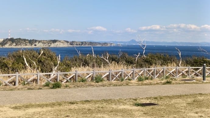 城ヶ島へ行ってきました