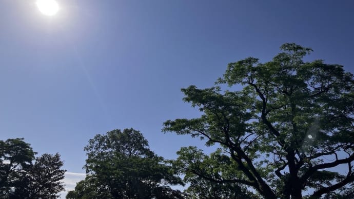 柏原小の朝ボランティアはすごい!