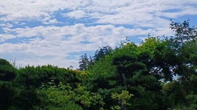 「今日の空」