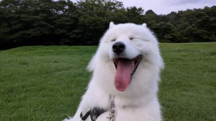 残暑お見舞い申し上げます