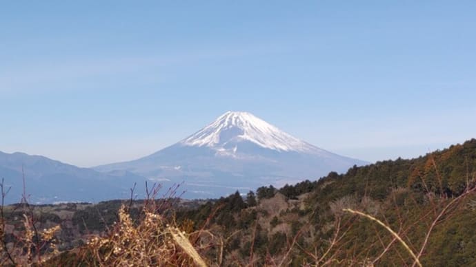 2986 山雀の糞の一滴初景色 釣舟