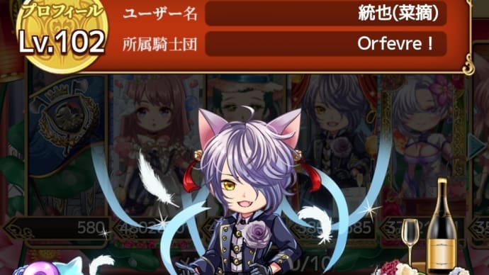 【配信告知】対談!騎士団運営について【天空のアムネジア】