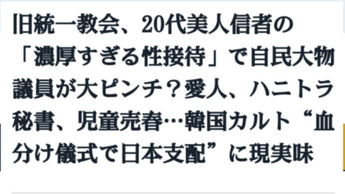 旧統一教会、20代美人信者の【濃厚すぎる性接待】で自民大物議員が大ピンチ？愛人、ハニトラ秘書！児童売春…韓国カルト！血分け儀式で日本支配に現実味！なぜ統一教会と関係した政治家が教団を擁護するのか