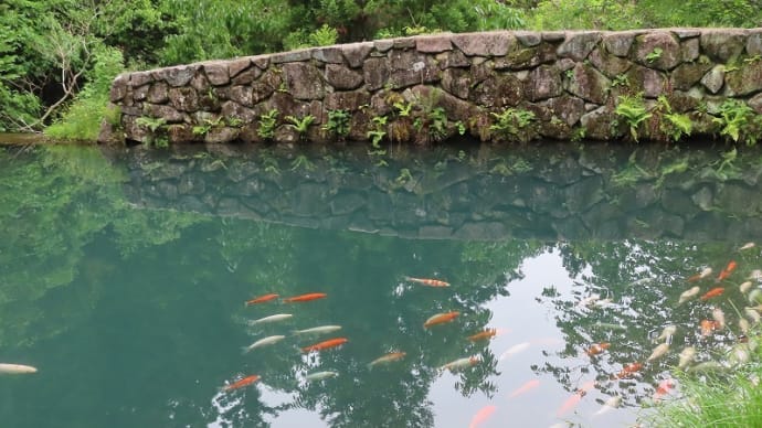 ながら川ふれあいの森  散策