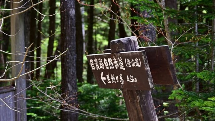 白駒池~剣ヶ峰へ