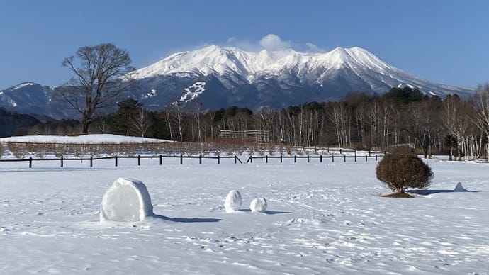 晴れていい天気です