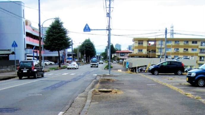 街路樹伐採の謎