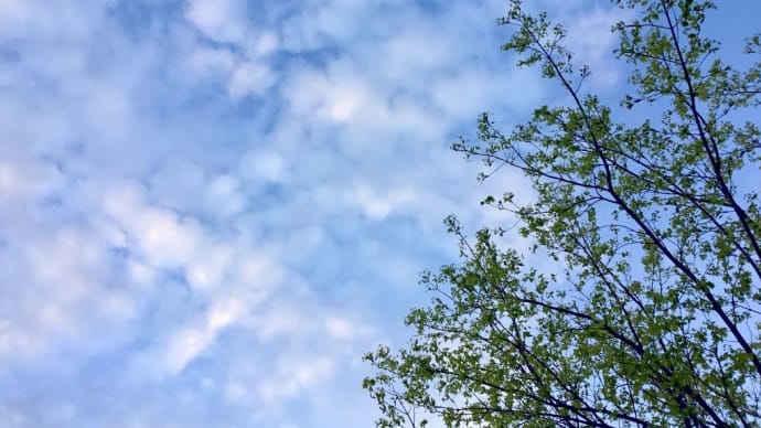 なんだか、もたつく月曜日 。。 ( 買い物して癒されるぅ〜〜 )