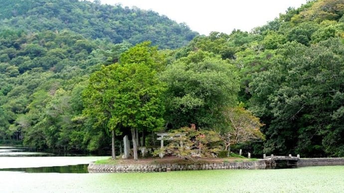 姫路市林田町西池の小島に建つ洲濱神社