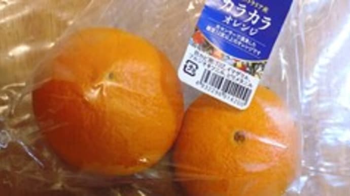 珍しいような珍しくないような