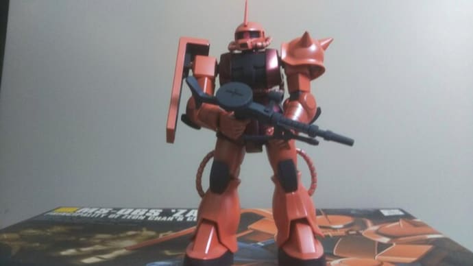 HGUC シャア専用ザク