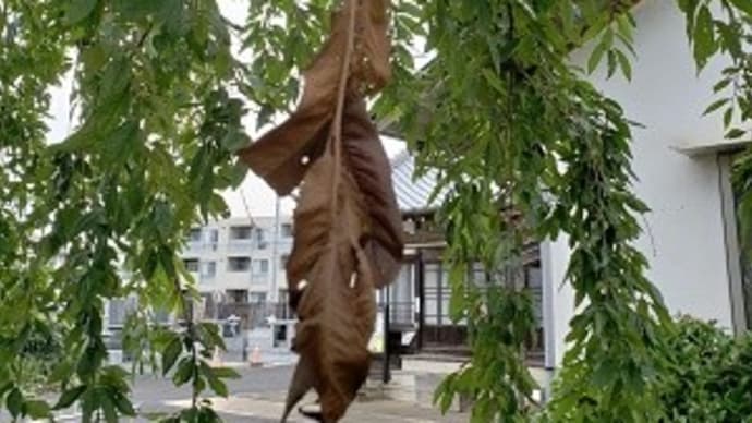 心が時間を感じとる