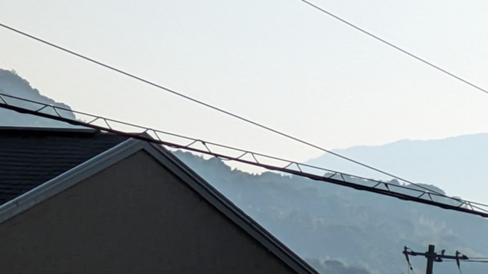 黒龍様の言葉 宮島へ行って参りました part4