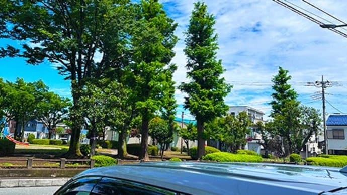ま、夏空。