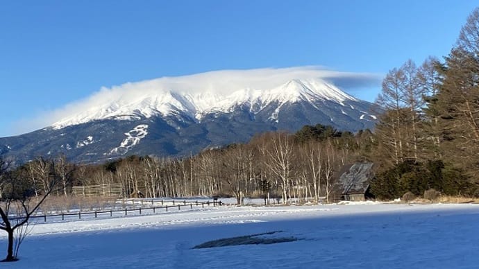 今日も良い天気