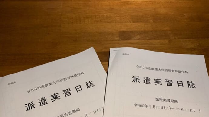 派遣実習折り返しと魚貝三昧げん屋３０周年周年と初恋レモンの月