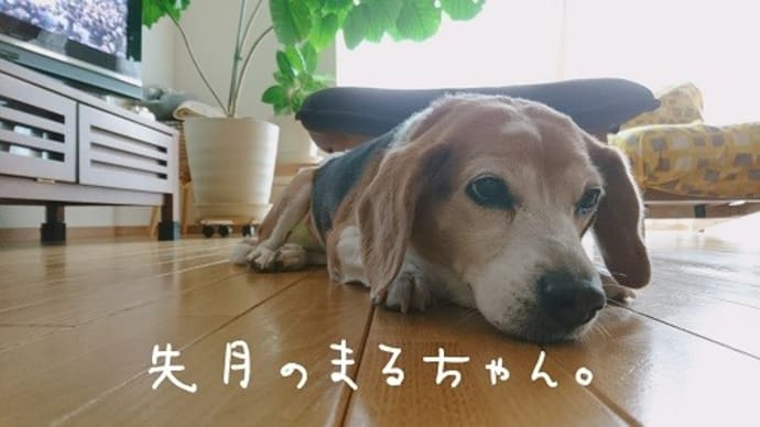 顔、違うよね?