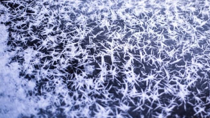 無が八分欲が二分にて霜に発つ