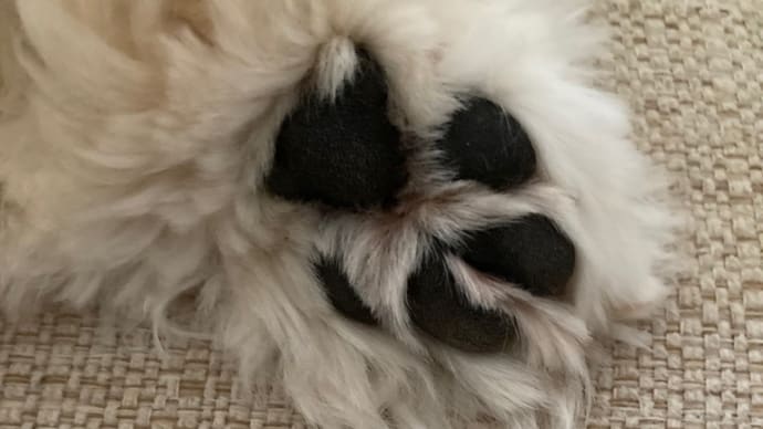 今日の出来事