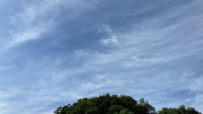 ココロとカラダを整える