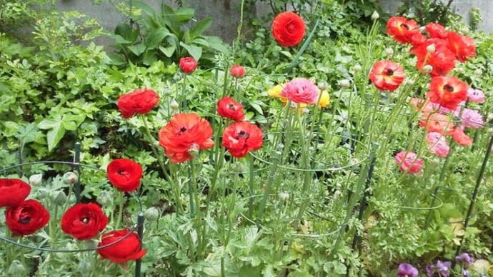 路傍の花壇とボランティア精神