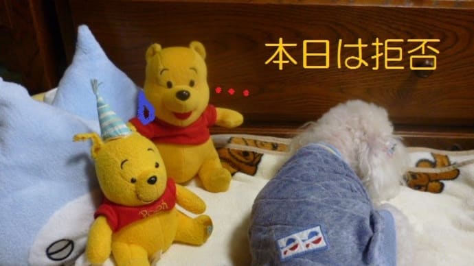 今日もどんより…老犬ラスさんも…(´ヘ`;) う~ん・・・おまけで水星と金星 ☆゚・*:.。.☆゚・*:.。.☆