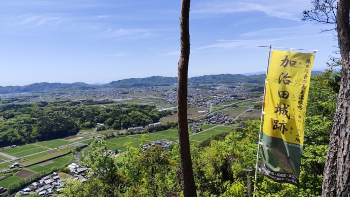 荻原浩著「笑う森」