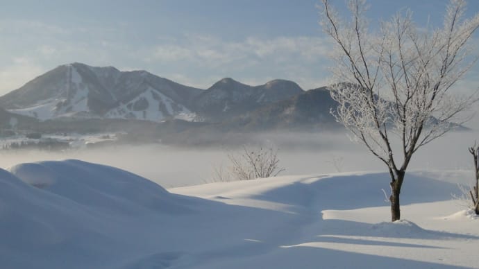 05年1月25日寒いのと抑うつ症状。