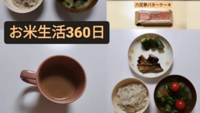 自分の選択
