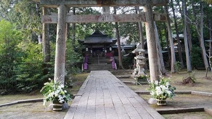 野田神社の花まつり