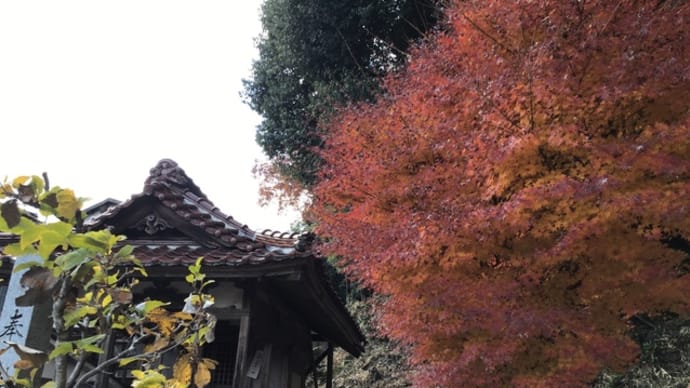 神社と紅葉