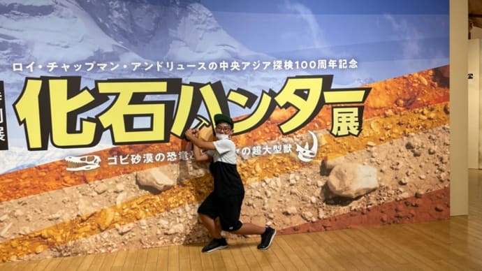 孫との夏休み 化石ハンター展
