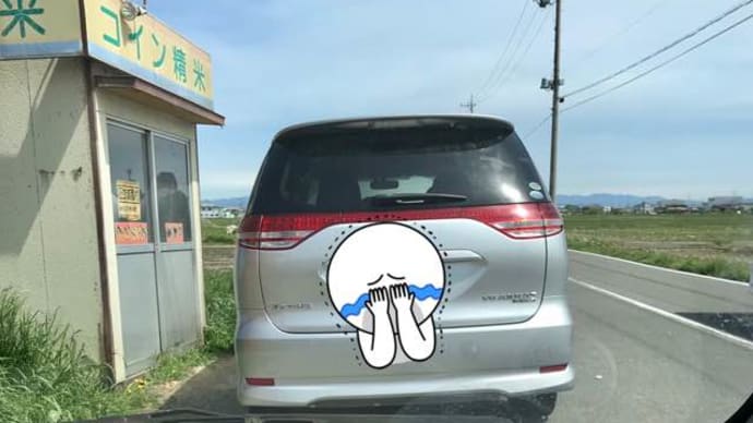 わんこの面会、高速で名古屋へ。