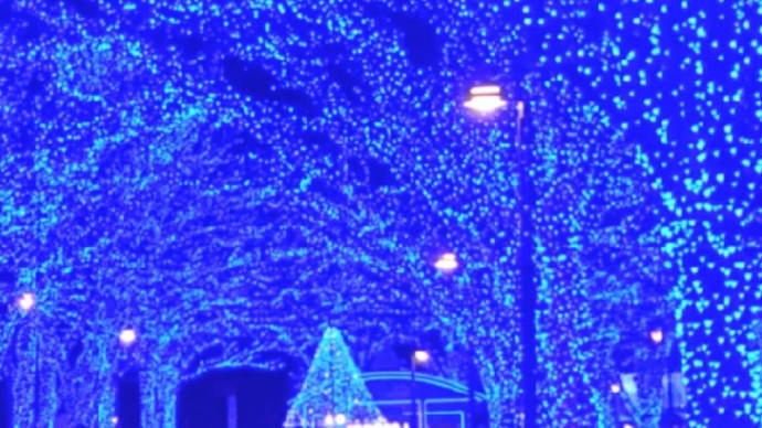 代々木公園ケヤキ並木 青の洞窟。その周辺。
