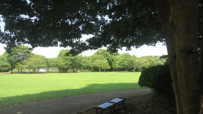ぶらりJOG~里山公園