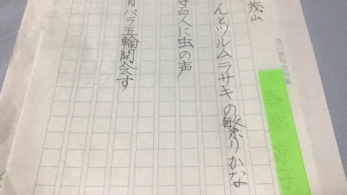 草取りはできなかったけれど