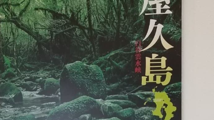 屋久島。大きな力を感じる島（2022/6/15）