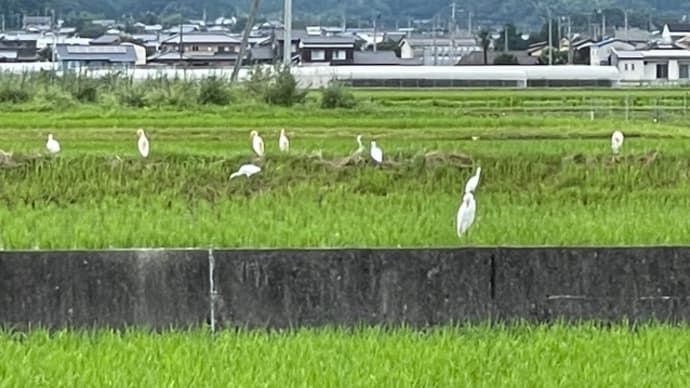 今年を振り返ってみると