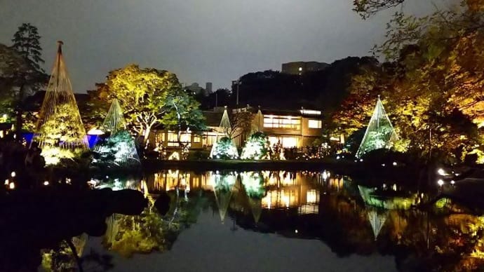 肥後細川庭園秋の紅葉ライトアップ～ひごあかり～