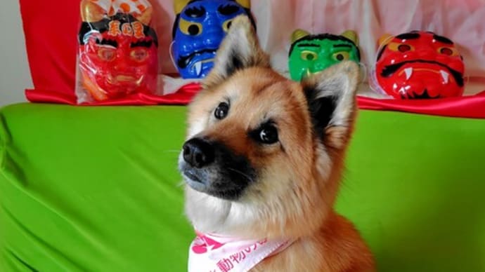 気が付けば もう8回も AAE(動物介在教育)