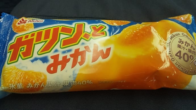 ガツンとみかん♪